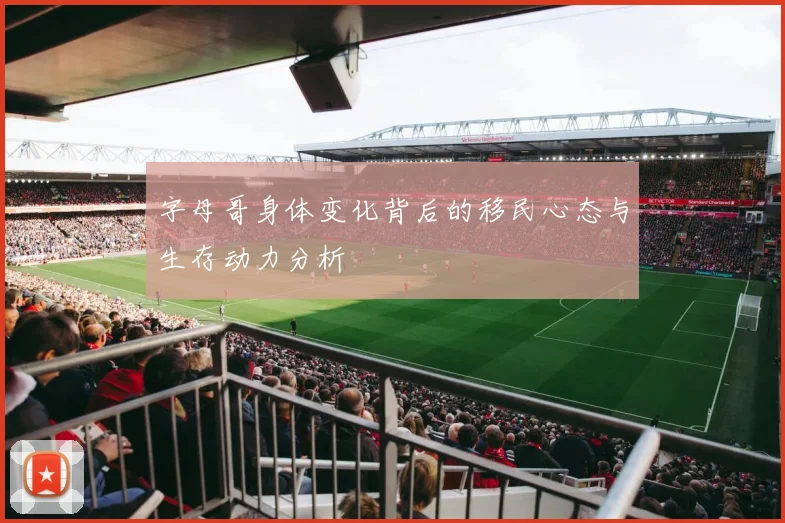 字母哥身体变化背后的移民心态与生存动力分析