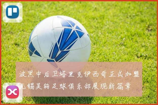 波黑中后卫塔里克伊西奇正式加盟无锡吴钩足球俱乐部展现新篇章