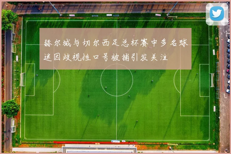 赫尔城与切尔西足总杯赛中多名球迷因歧视性口号被捕引发关注